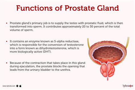 The Prostate And Bladder Problems in Filipino.